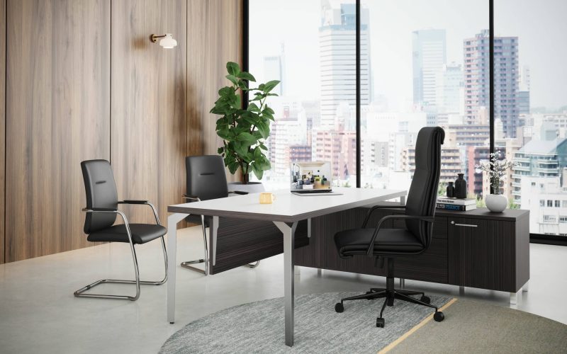 BUREAU DE DIRECTION PARIS HARMONY