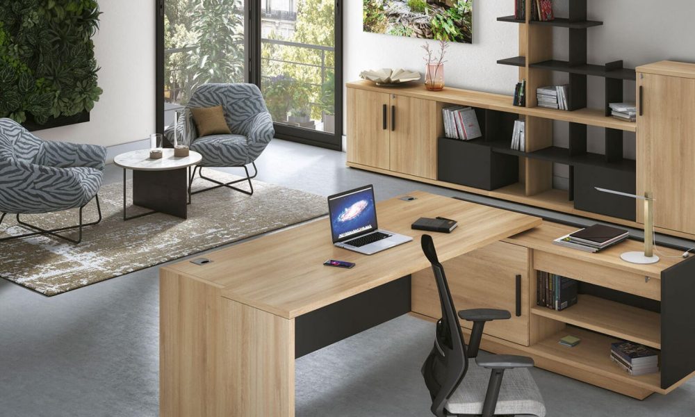 BUREAU DE DIRECTION BRABANT GAUTIER OFFICE